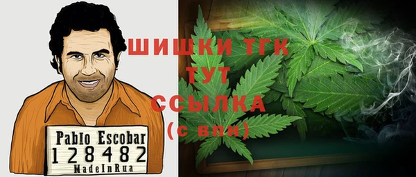 дурь Алексин