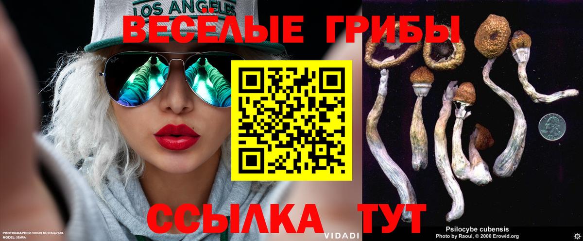 Галлюциногенные грибы GOLDEN TEACHER  Вход с VPN  Касимов  Галлюциногенные грибы ЛСД 